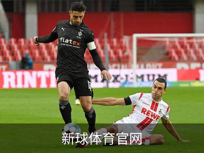 新球体育官网简介